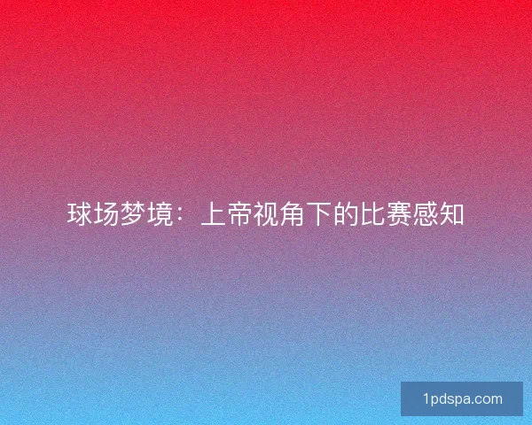 球场梦境:上帝视角下的比赛感知 球场梦境:上帝视角下的比赛感知