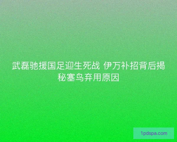 武磊驰援国足迎生死战 伊万补招背后揭秘塞鸟弃用原因 武磊驰援国足迎生死战 伊万补招背后揭秘塞鸟弃用原因